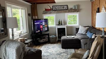 TV, fireplace, books, video library