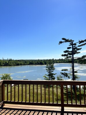 Terrain de l’hébergement 