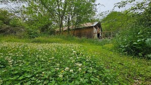 A rustic barn surrounded by a field of clover and yellow flowers. - Kelly's Urban Farmhouse in Atlanta (Lithonia)