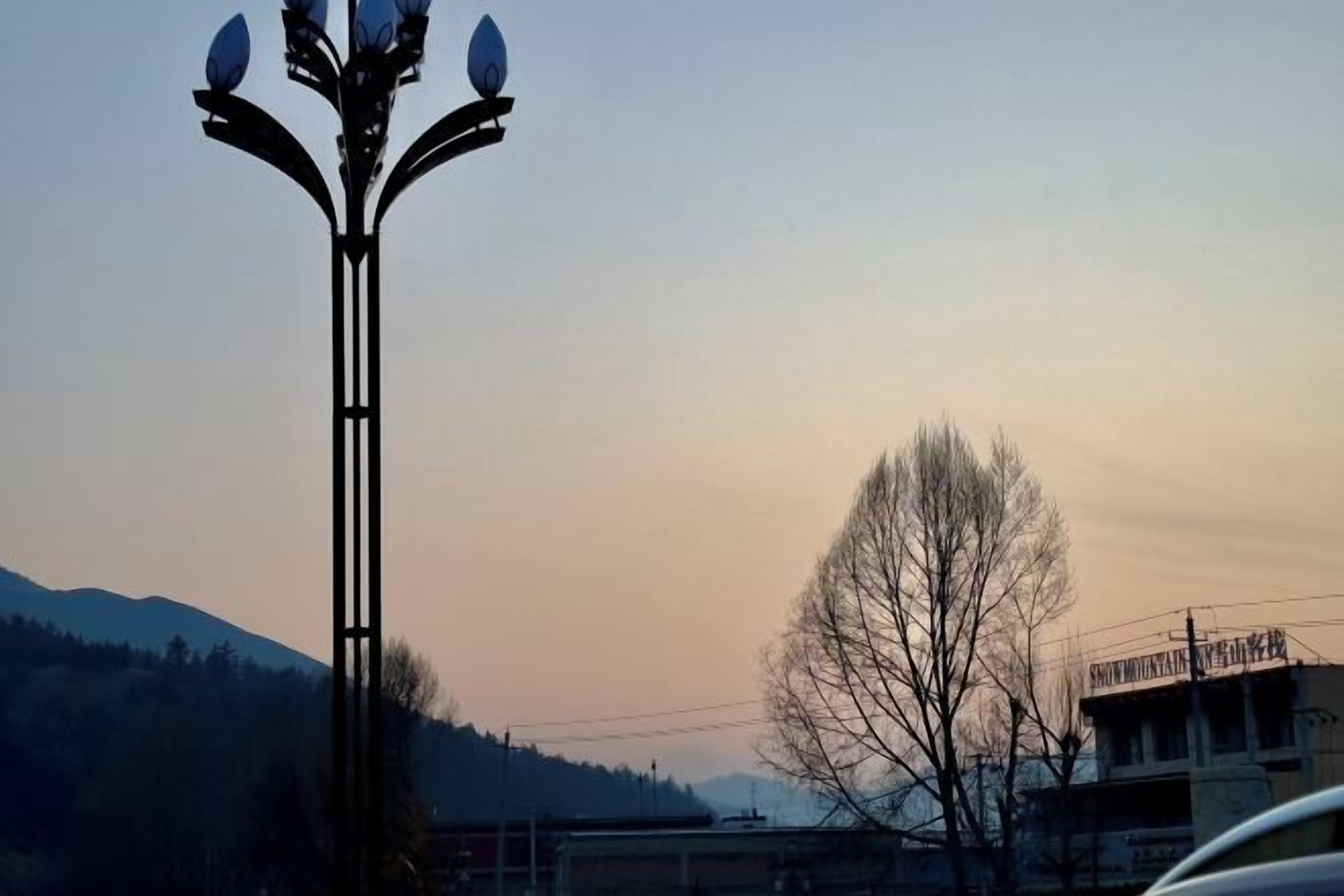 A street lamp with a symmetrical design, a leafless tree, and a building in the background.