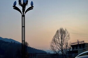 Um poste de luz com design simétrico, uma árvore sem folhas e um edifício ao fundo.