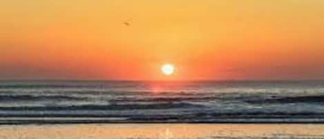 Playa