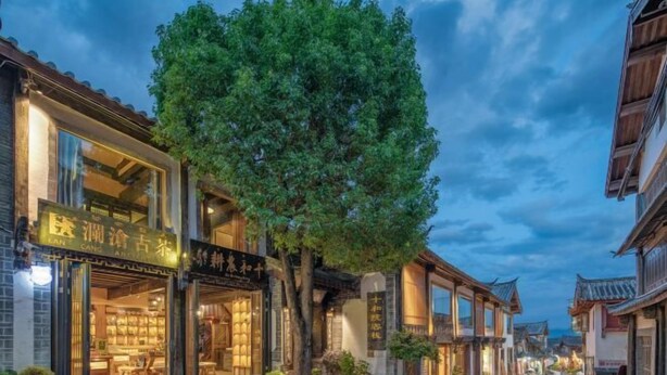 A traditional street with shops and a tree in the center. - Ten Courtyard Inn (Lijiang)