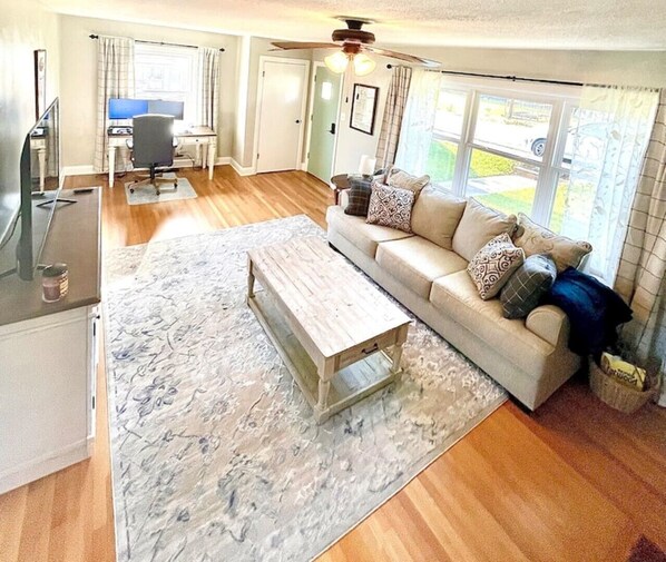 Smart TV, books, computer monitors