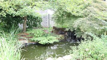 A pond surrounded by lush greenery, a small waterfall, and a stone pathway.