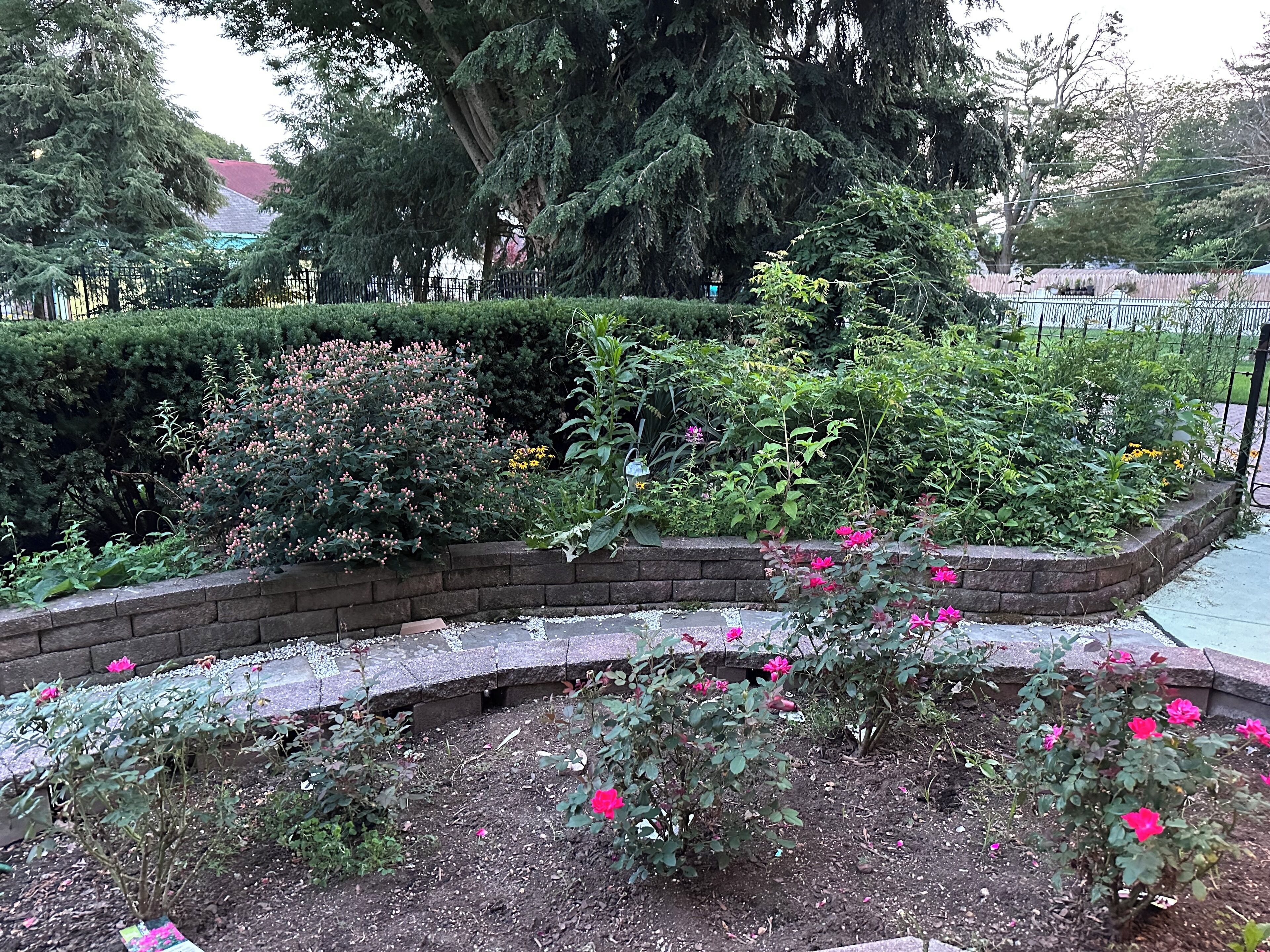 A garden with various plants and flowers, a brick pathway, and a metal fence.