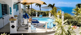 Spacious Hillside Villa w/ heated pool, wrap around balcony, vast ocean views