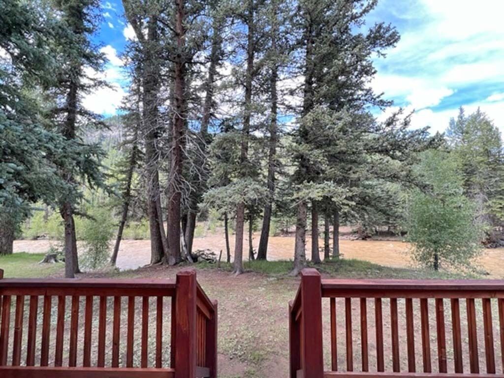 Back deck with a view of the Alamosa River