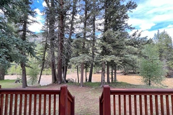 Back deck with a view of the Alamosa River