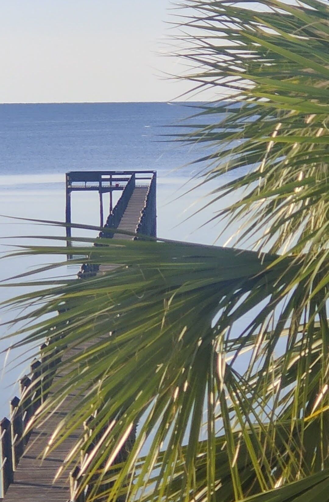 Lagniappe "a little something extra" on the Gulf