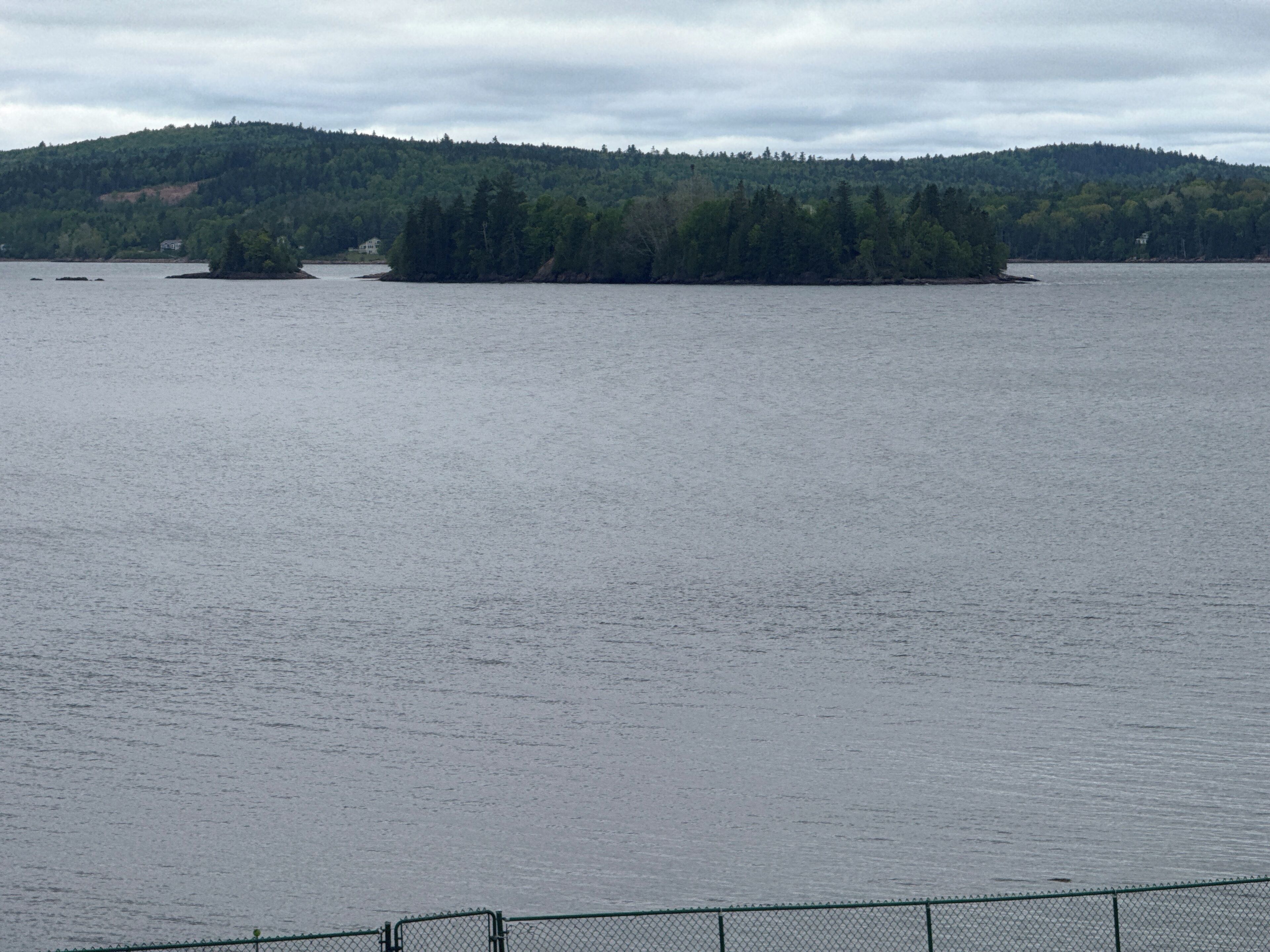 A calm body of water with a forested island in the distance.