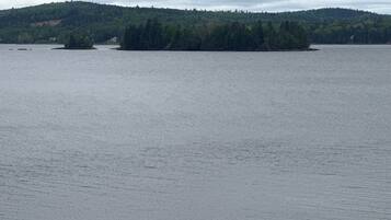 A calm body of water with a forested island in the distance.
