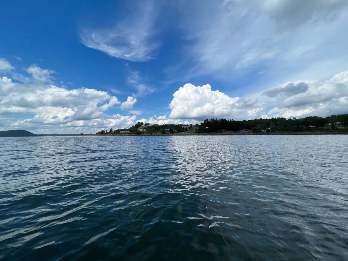 Plage, chaises longues
