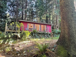 Eine Hütte im Wald, mit roter Außenfarbe, umgeben von Farne und Bäume.
