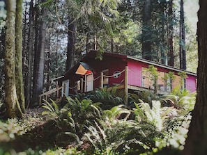 Una cabaña en un bosque con fachada roja y un porche.