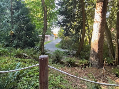 Forested Cottage in the Woods, near Olympic Park