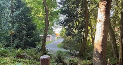 Forested Cottage in the Woods, near Olympic Park