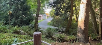 Forested Cottage in the Woods, near Olympic Park