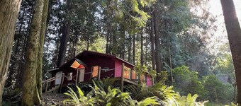 Forested Cottage in the Woods, near Olympic Park