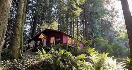 Forested Cottage in the Woods, near Olympic Park