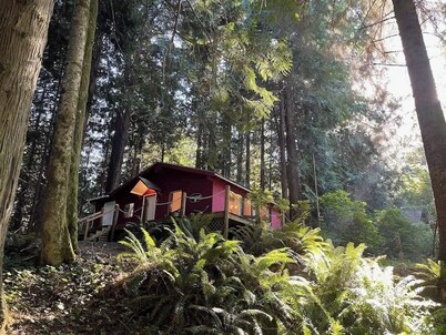 Forested Cottage in the Woods, near Olympic Park