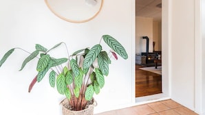 Une plante en pot aux feuilles panachées, placée dans un panier tressé sur un mur blanc.