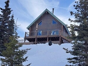 Exterior - Beautiful cabin with amazing views. By hiking, biking, skiing and trail riding (Beaver)