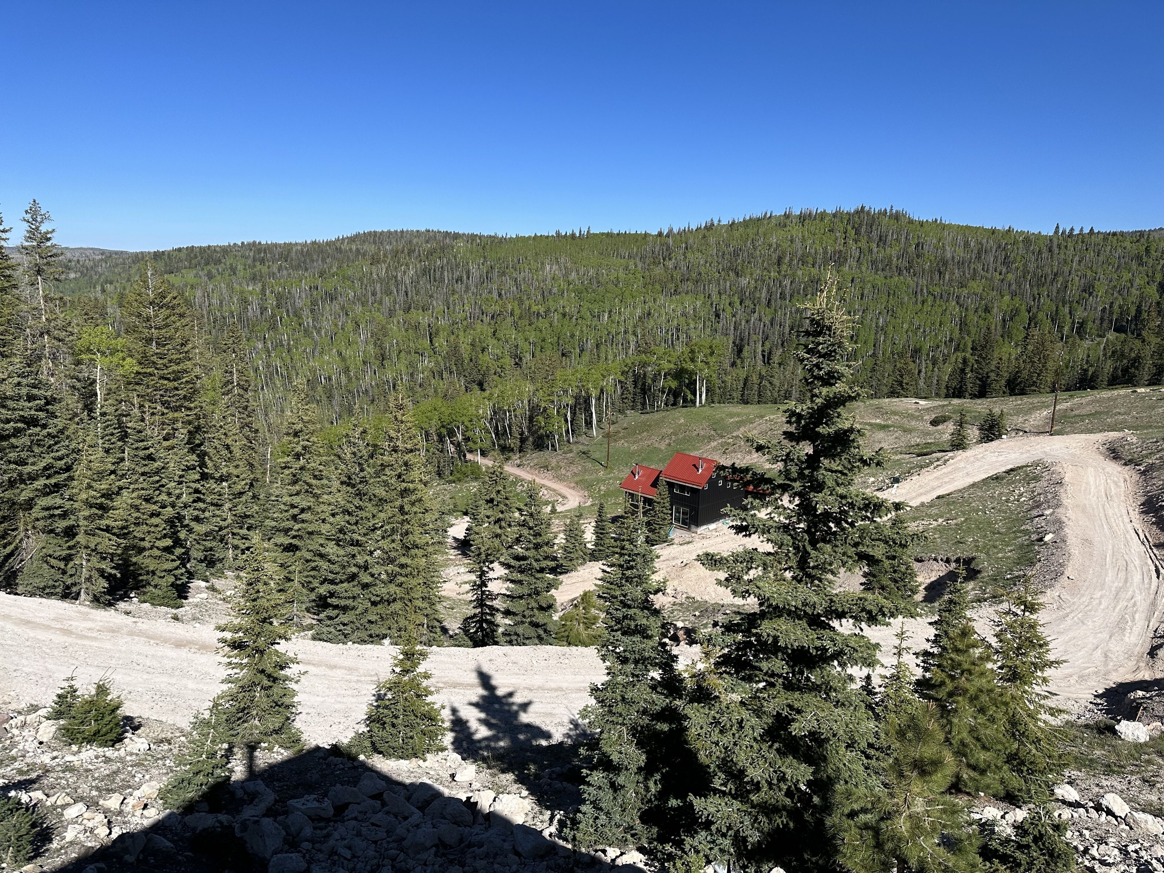 A remote cabin surrounded by dense forest and a dirt road.