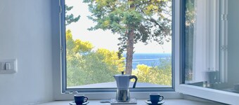 Villa Romanelli NEW, sea view, Mediterranean scrub - mini pool