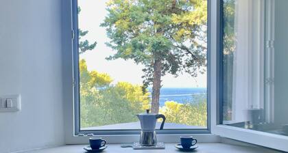 Villa Romanelli NEW, sea view, Mediterranean scrub - mini pool