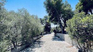 Un sentier pavé, bordé d’oliviers et de murs de pierre, mène à un bâtiment en pierre.