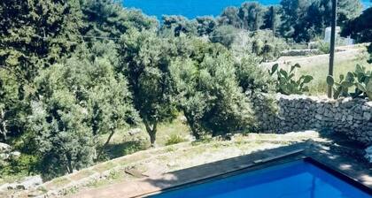 Villa Romanelli NEW, sea view, Mediterranean scrub - mini pool