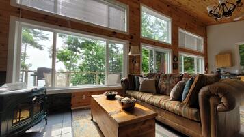 Televisión, chimenea, reproductor de DVD, libros