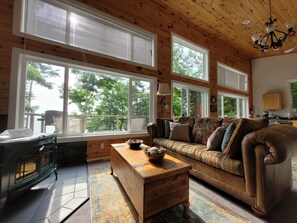 TV, fireplace, DVD player, books