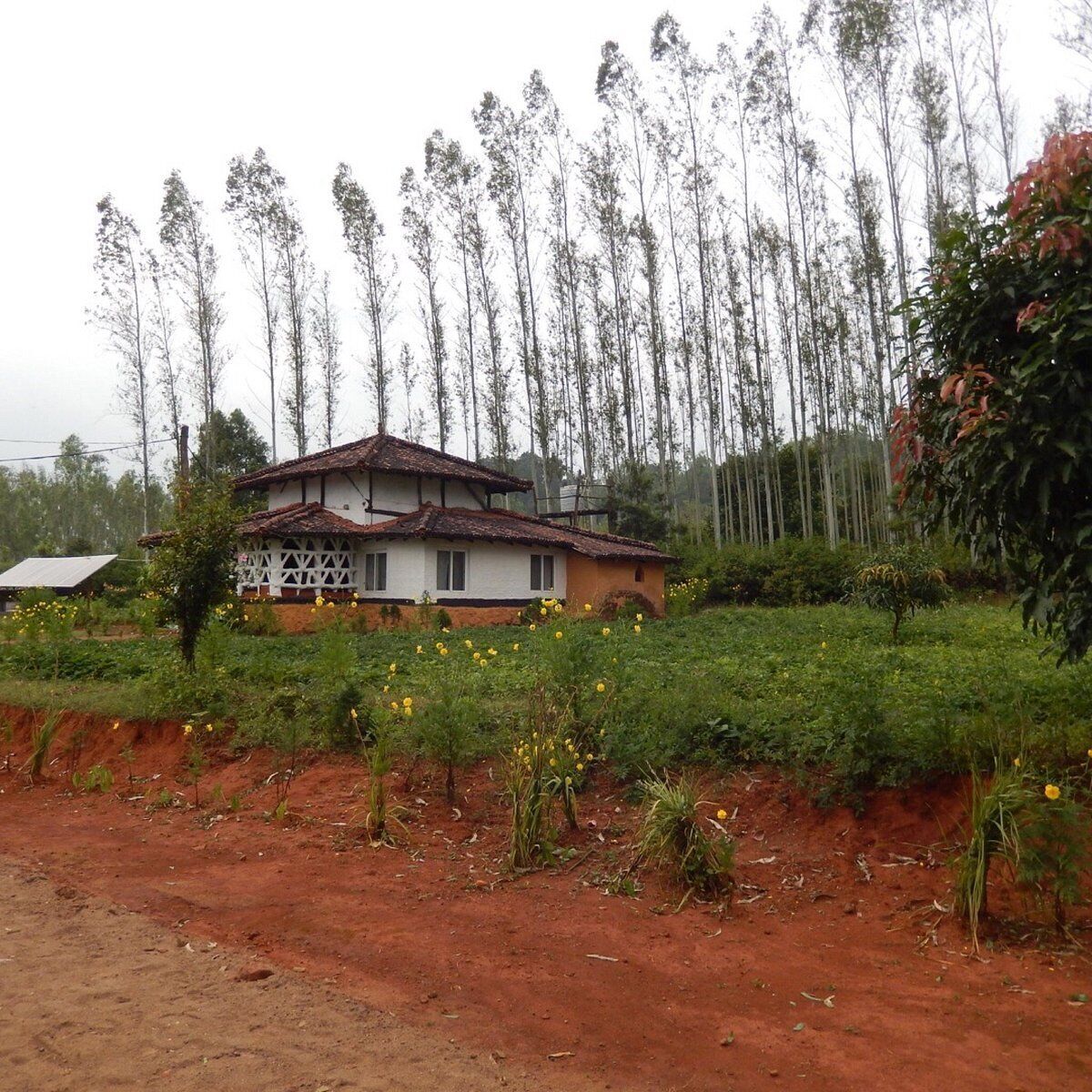 A two-story house with a tiled roof, surrounded by a garden with yellow flowers and tall trees in the background.