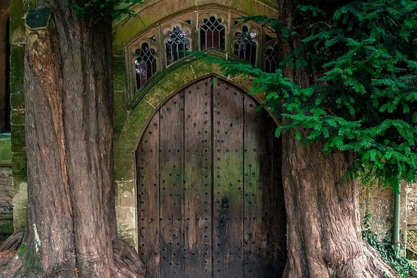 Detalle del exterior