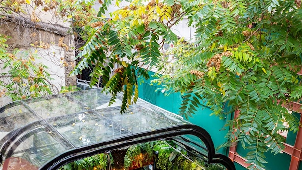 An indoor garden with tables and chairs, surrounded by lush greenery and hanging plants. - Mamy Blue Slow Living (Athens)