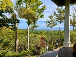 Vista al jardín