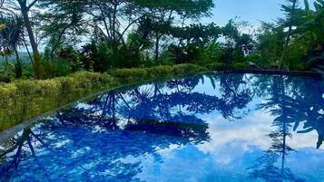 Outdoor pool, sun loungers