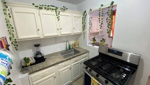 Une cuisine avec des meubles blancs, un plan de travail en granit, une cuisinière en acier inoxydable et des plantes vertes.