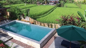 Room, 1 Bedroom, Smoking, Private Pool | Pool - Room-the Champuhan Villa - Honeymoon Vil (Seririt)