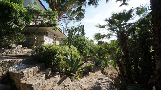 A stone pathway leading to a building with a balcony, surrounded by various tropical plants and trees.