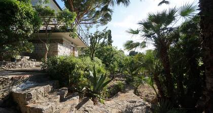 Burdi House Apartment Surrounded by Greenery and Tranquility Near the sea