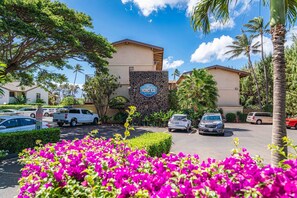 Àrea exterior de l'allotjament