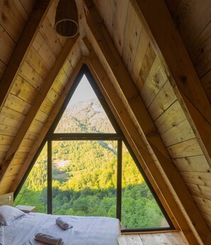 Family Cottage, Mountain View, Mountainside