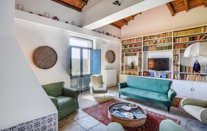TV, fireplace