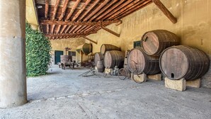 Une cave rustique avec des barriques en bois empilées contre le mur, un vélo et un appareil de distillation ancien.