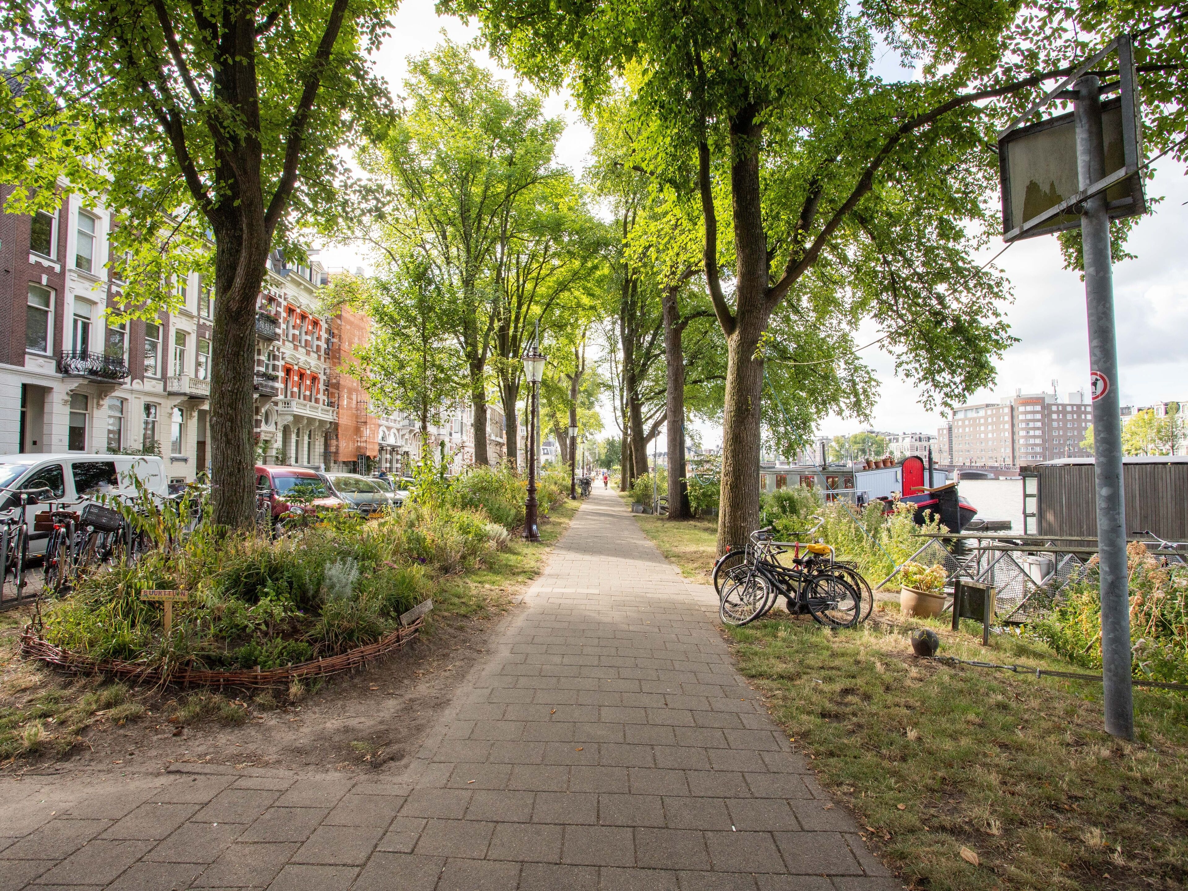 A paved pathway lined with trees and parked bicycles, leading to a canal with boats.