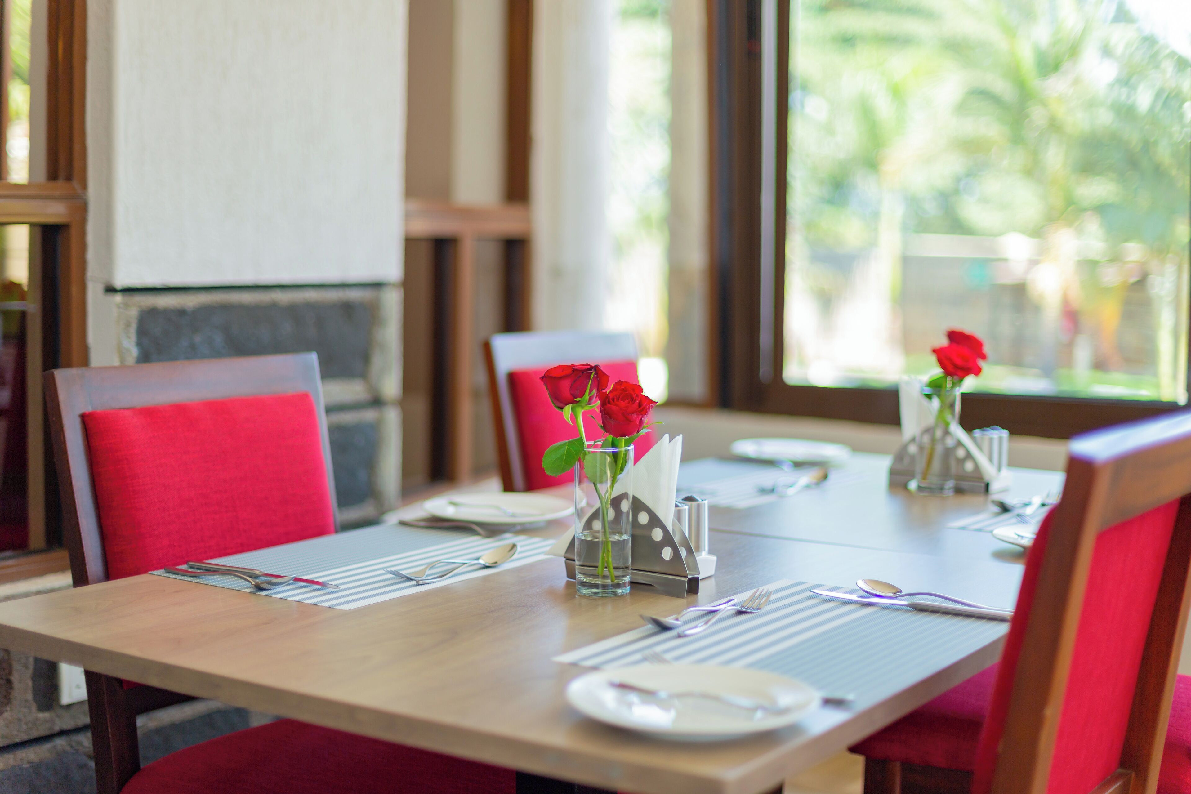 A dining table set with red chairs, a vase with a red rose, and a view of greenery through the window.
