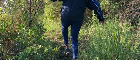 Una persona caminando por un sendero estrecho y pedregoso, rodeado de abundante vegetación.